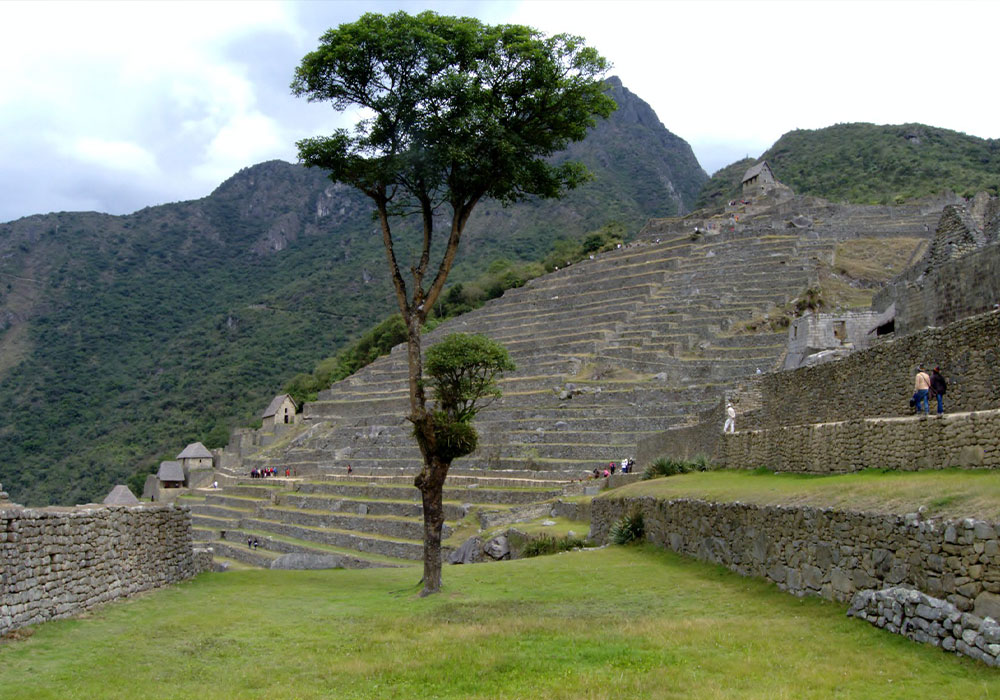 Machu Picchu Tour by Train